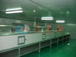 Flat tunnel-type drying line